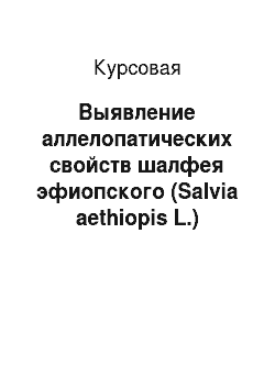Курсовая: Выявление аллелопатических свойств шалфея эфиопского (Salvia aethiopis L.)