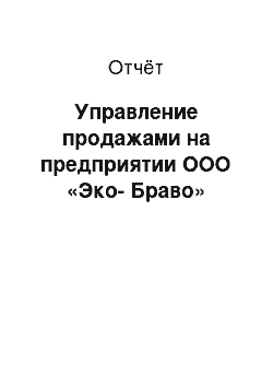 Отчёт: Управление продажами на предприятии ООО «Эко-Браво»