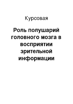 Курсовая: Роль полушарий головного мозга в восприятии зрительной информации