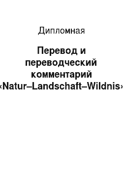 Дипломная: Перевод и переводческий комментарий «Natur–Landschaft–Wildnis»