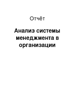 Отчёт: Анализ системы менеджмента в организации