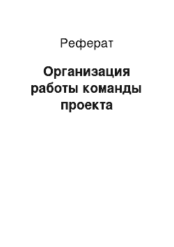 Реферат: Организация работы команды проекта