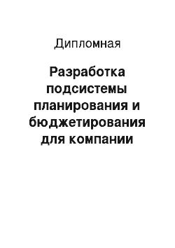 Дипломная: Разработка подсистемы планирования и бюджетирования для компании «БИК-Проджект» на базе SAP BW-IP и SAP BEx