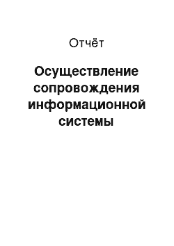 Отчёт: Осуществление сопровождения информационной системы