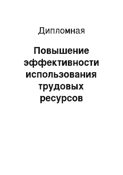 Дипломная: Повышение эффективности использования трудовых ресурсов организации (на примере ООО «Макдоналдс»)