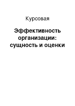 Курсовая: Эффективность организации: сущность и оценки