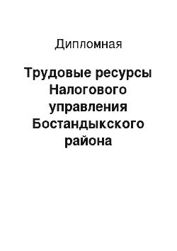 Дипломная: Трудовые ресурсы Налогового управления Бостандыкского района