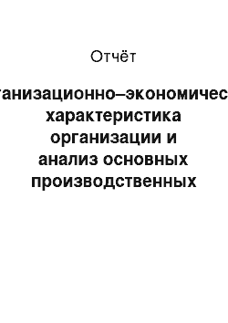 Отчёт: Организационно–экономическая характеристика организации и анализ основных производственных и экономических показателей