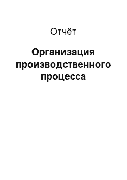 Отчёт: Организация производственного процесса