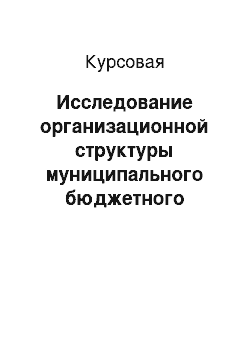 Курсовая: Исследование организационной структуры муниципального бюджетного образовательного учреждения дополнительного образования детей