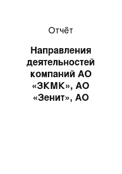 Отчёт: Направления деятельностей компаний АО «ЗКМК», АО «Зенит», АО «Уральскагрореммаш», АО «УМЗ»