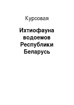Курсовая: Ихтиофауна водоемов Республики Беларусь