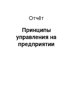 Отчёт: Принципы управления на предприятии