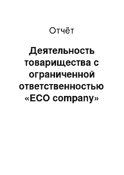 Отчёт: Деятельность товарищества с ограниченной ответственностью «ECO company»
