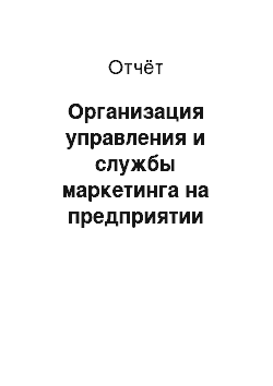 Отчёт: Организация управления и службы маркетинга на предприятии