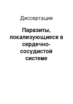 Диссертация: Паразиты, локализующиеся в сердечно-сосудистой системе