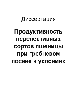 Диссертация: Продуктивность перспективных сортов пшеницы при гребневом посеве в условиях Центрального Таджикистана