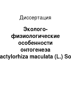 Диссертация: Эколого-физиологические особенности онтогенеза Dactylorhiza maculata (L.) Soo (сем. Orchidaceae) в связи с микотрофией