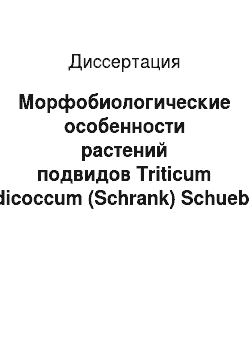 Диссертация: Морфобиологические особенности растений подвидов Triticum dicoccum (Schrank) Schuebl