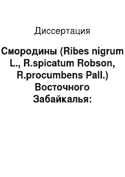 Диссертация: Смородины (Ribes nigrum L., R.spicatum Robson, R.procumbens Pall.) Восточного Забайкалья: изменчивость, морфобиологические особенности и состояние популяций
