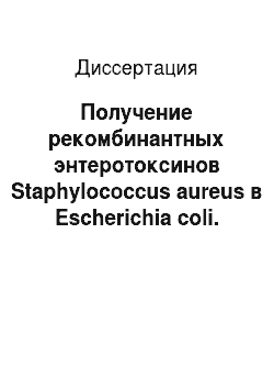 Диссертация: Получение рекомбинантных энтеротоксинов Staphylococcus aureus в Escherichia coli. Исследование на их модели роли сигнальных пептидов в транслокации белков в периплазматическое пространство E. coli