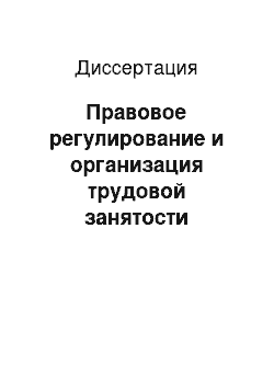 Диссертация: Правовое регулирование и организация трудовой занятости осужденных в исправительных учреждениях Советского государства, 1917-1990 гг