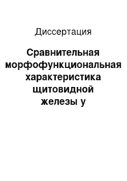 Диссертация: Сравнительная морфофункциональная характеристика щитовидной железы у плотоядных