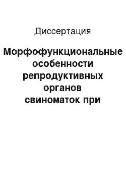 Диссертация: Морфофункциональные особенности репродуктивных органов свиноматок при различном содержании 90 Sr и 137 Cs в их организме