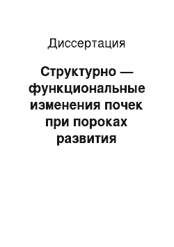 Диссертация: Структурно — функциональные изменения почек при пороках развития магистральных сосудов сердца (клинико-экспериментальное исследование)