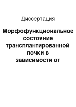 Диссертация: Морфофункциональное состояние трансплантированной почки в зависимости от урологической реконструкции