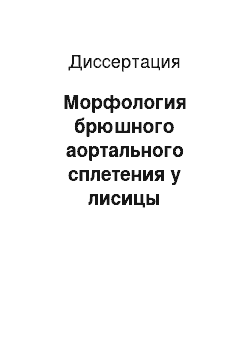 Диссертация: Морфология брюшного аортального сплетения у лисицы обыкновенной, лисицы серебристо-черной, собаки домашней, кролика домашнего