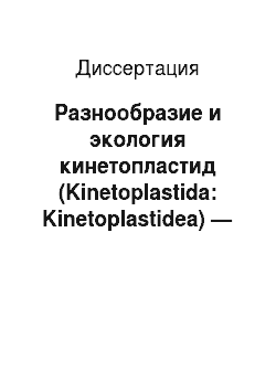 Диссертация: Разнообразие и экология кинетопластид (Kinetoplastida: Kinetoplastidea) — паразитов рыб озера Байкал