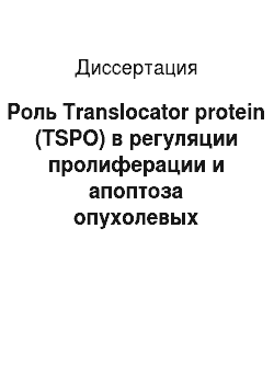 Диссертация: Роль Translocator protein (TSPO) в регуляции пролиферации и апоптоза опухолевых клеток при BRAF-положительной меланоме кожи
