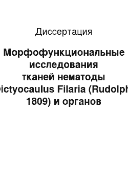 Диссертация: Морфофункциональные исследования тканей нематоды Dictyocaulus Filaria (Rudolphi 1809) и органов хозяина после воздействия различных антигельминтиков