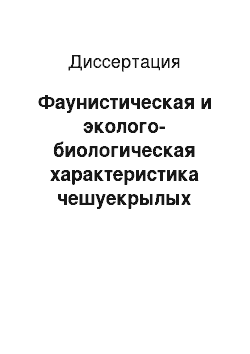 Диссертация: Фаунистическая и эколого-биологическая характеристика чешуекрылых (Lepidoptera) горной зоны Южного Урала