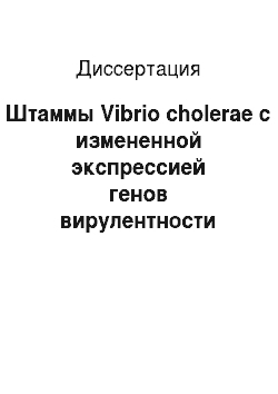 Диссертация: Штаммы Vibrio cholerae с измененной экспрессией генов вирулентности