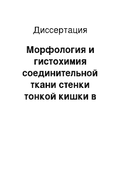 Диссертация: Морфология и гистохимия соединительной ткани стенки тонкой кишки в эмбриогенезе