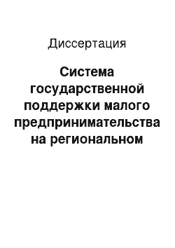 Диссертация: Система государственной поддержки малого предпринимательства на региональном уровне