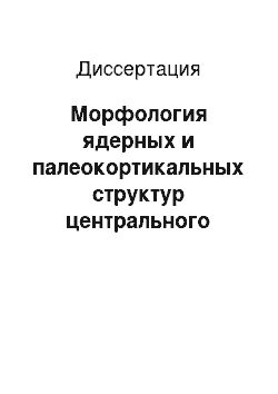 Диссертация: Морфология ядерных и палеокортикальных структур центрального отдела миндалевидного комплекса мозга крысы