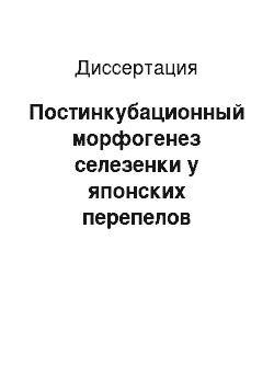 Диссертация: Постинкубационный морфогенез селезенки у японских перепелов