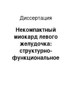 Диссертация: Некомпактный миокард левого желудочка: структурно-функциональное состояние миокарда и особенности клинических проявлений