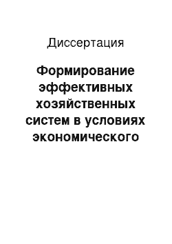 Диссертация: Формирование эффективных хозяйственных систем в условиях экономического неравновесия: вопросы теории и методологии