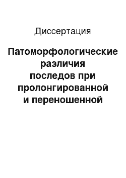 Диссертация: Патоморфологические различия последов при пролонгированной и переношенной беременности