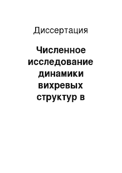 Диссертация: Численное исследование динамики вихревых структур в сплошных средах, включая плазму