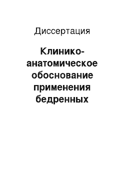 Диссертация: Клинико-анатомическое обоснование применения бедренных компонентов дистальной фиксации при эндопротезировании тазобедренного сустава