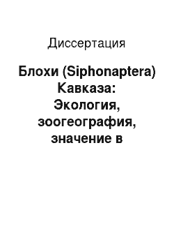 Диссертация: Блохи (Siphonaptera) Кавказа: Экология, зоогеография, значение в природных очагах чумы