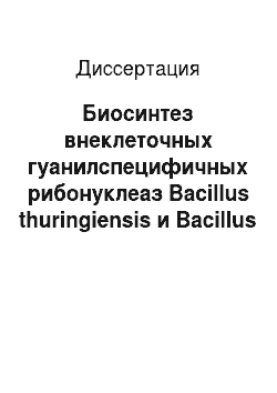 Диссертация: Биосинтез внеклеточных гуанилспецифичных рибонуклеаз Bacillus thuringiensis и Bacillus circulans
