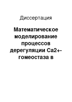 Диссертация: Математическое моделирование процессов дерегуляции Ca2+-гомеостаза в нейронах головного мозга крысы при гиперстимуляции глутаматных рецепторов