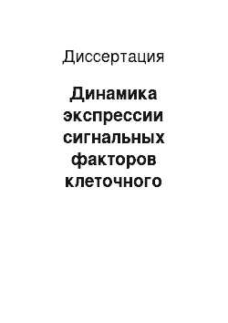 Диссертация: Динамика экспрессии сигнальных факторов клеточного обновления в пейеровых бляшках при естественном и радиационном старении