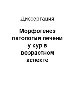 Диссертация: Морфогенез патологии печени у кур в возрастном аспекте